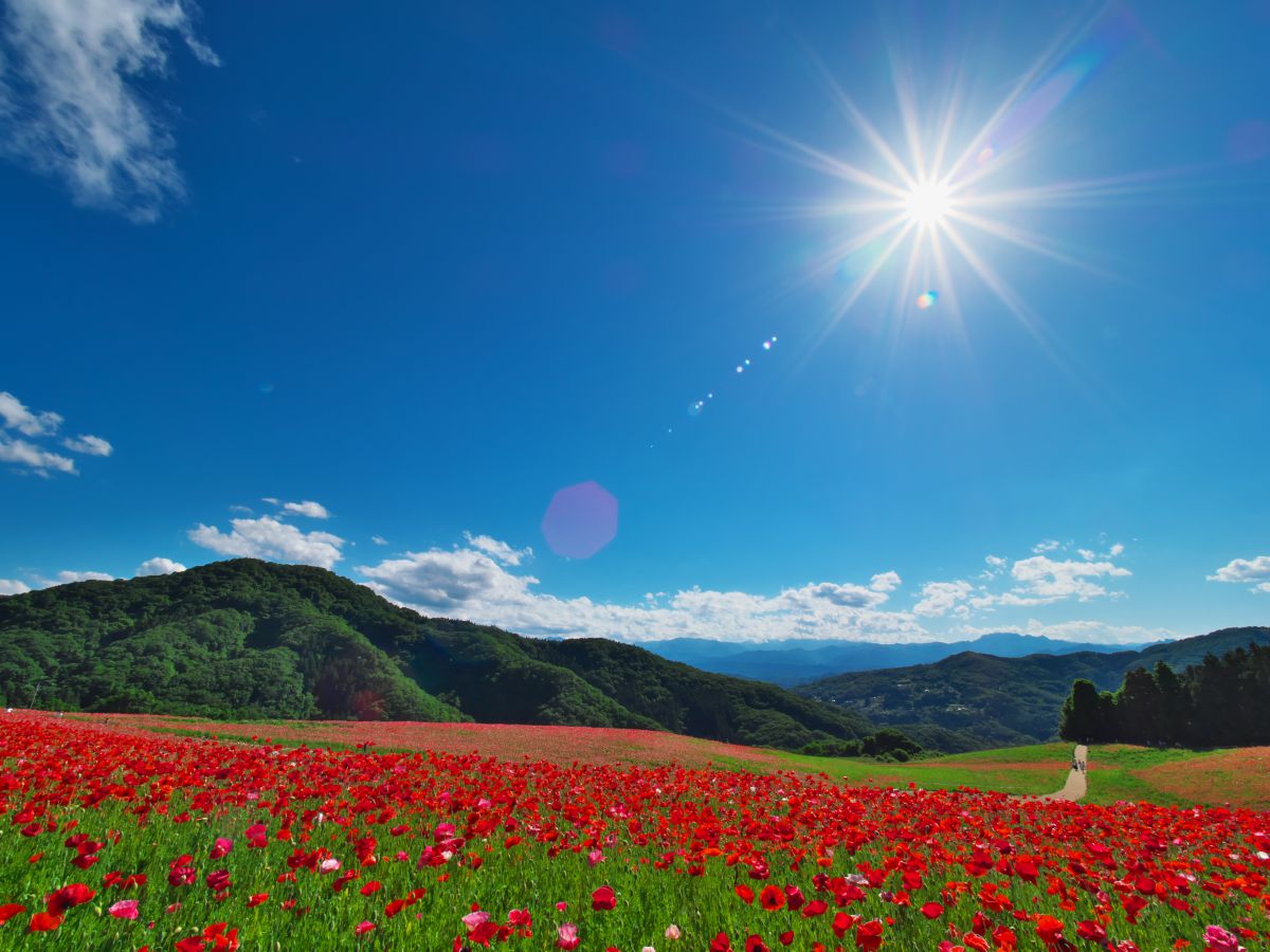 3006ea6be558b8882cbcf455eca99d