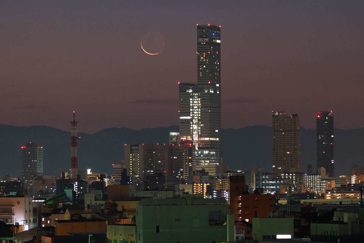 MORNING MOON | GANREF