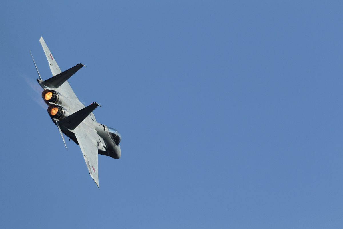 F 15 | GANREF