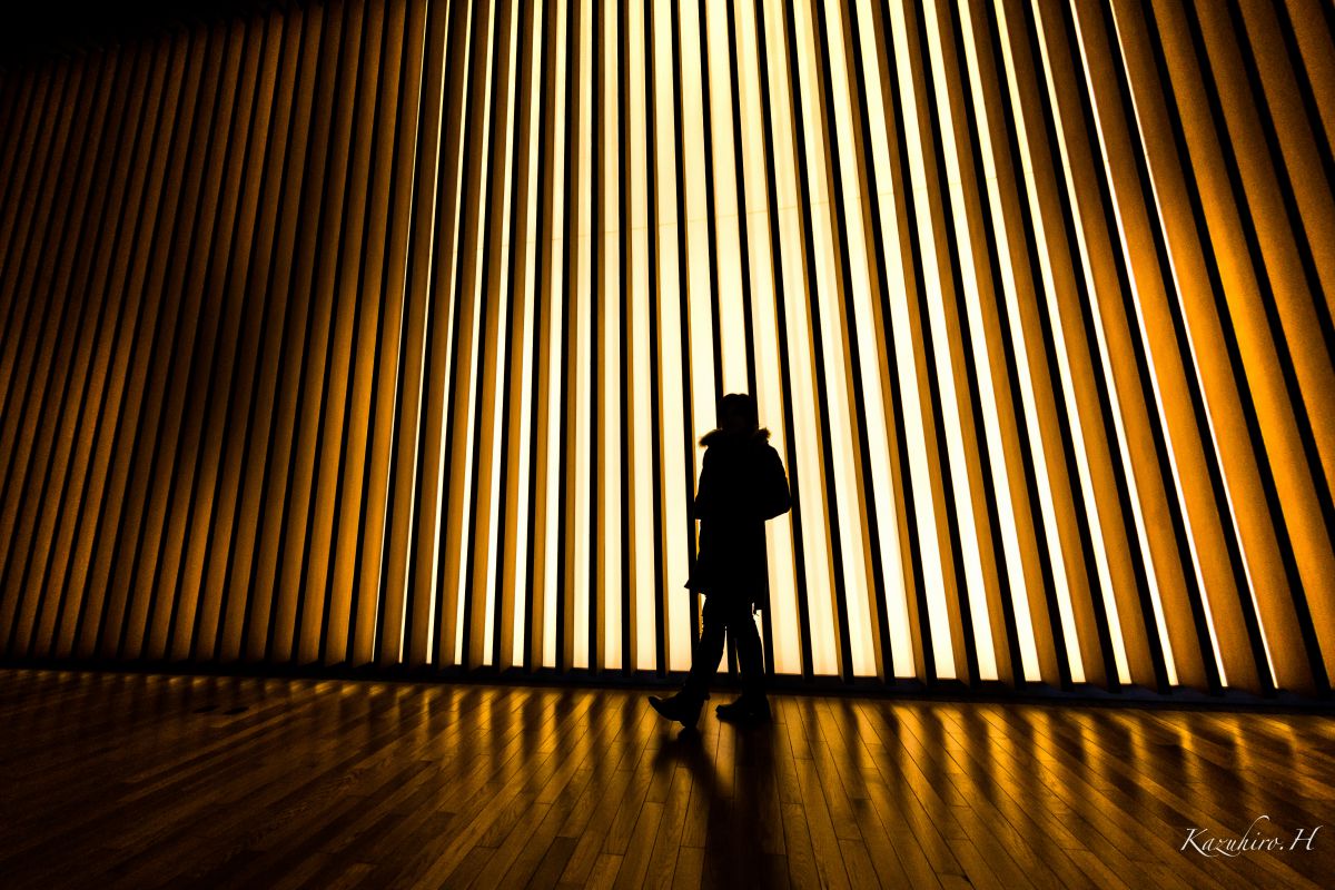 Line of the light | GANREF