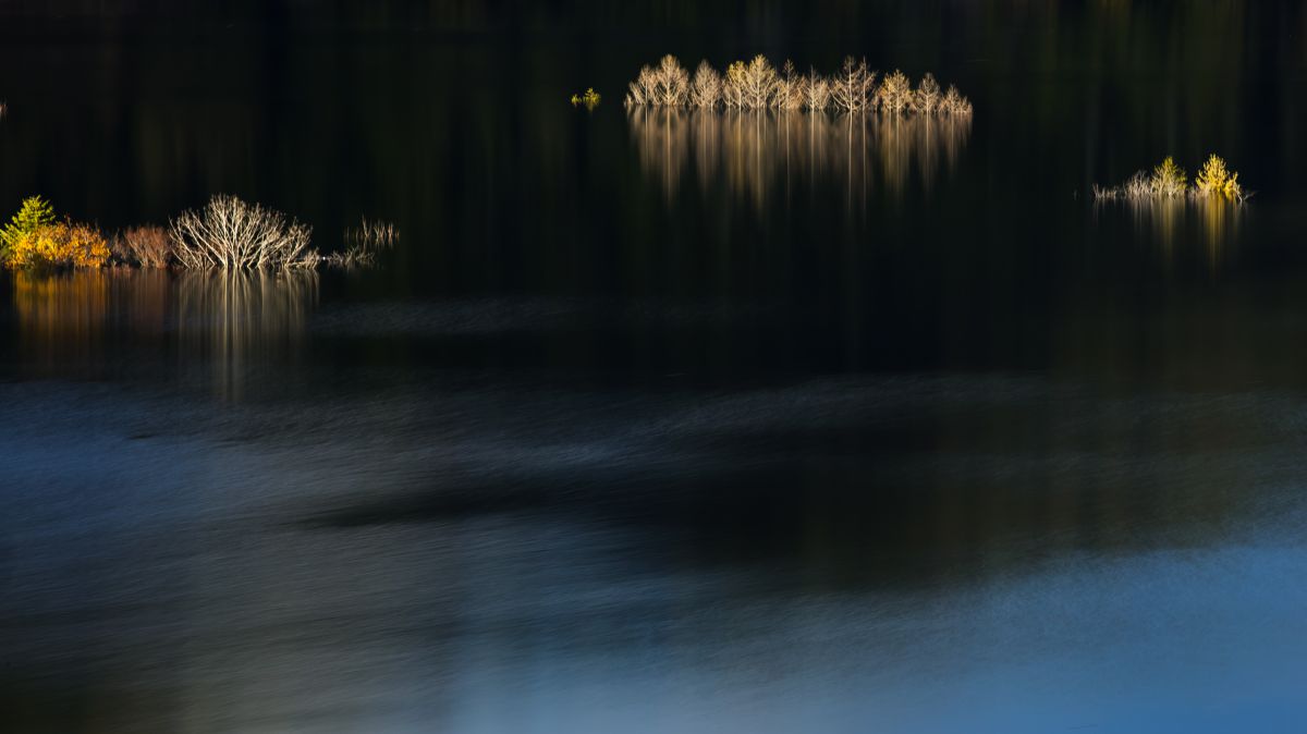 Reflection | GANREF