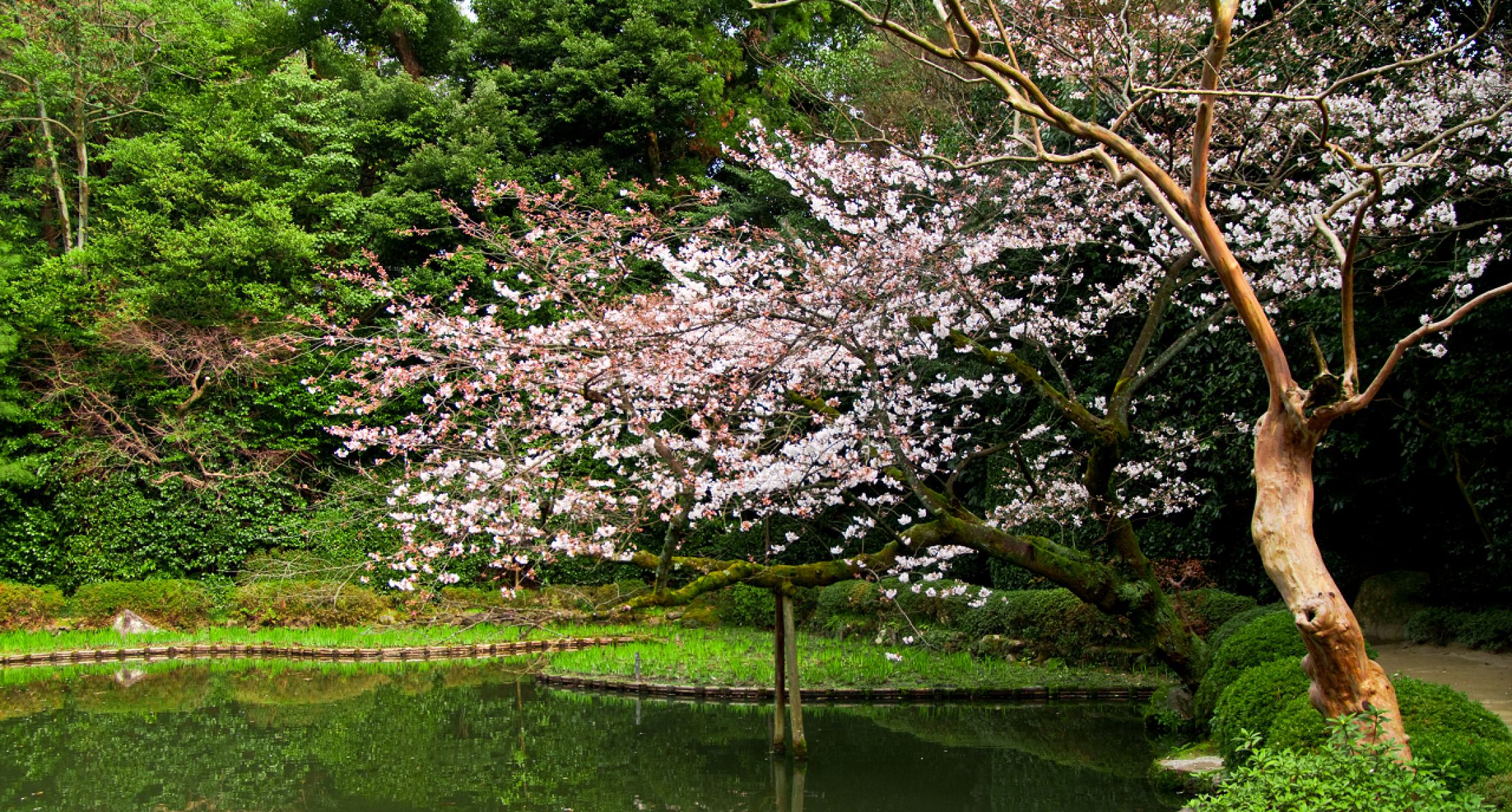 Coming of spring | GANREF
