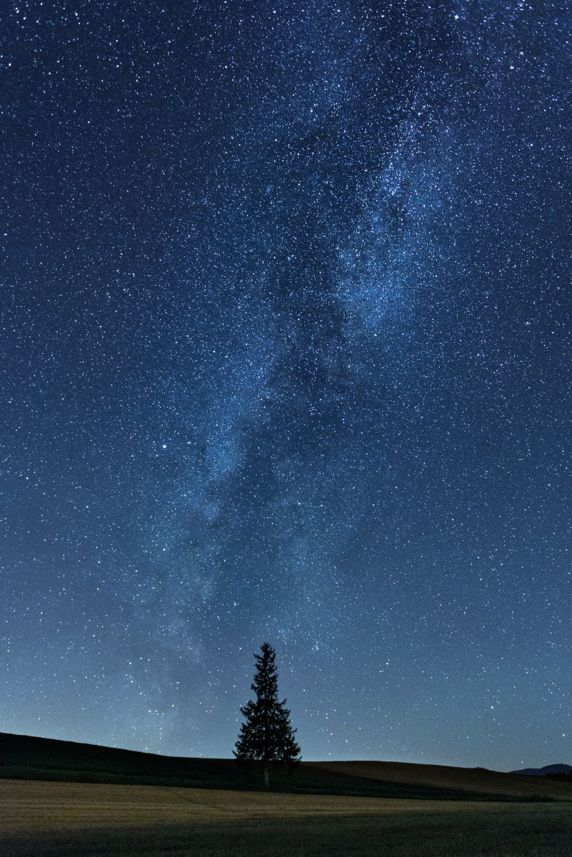 星降る夜に hosifuru.jpg?v=1727174638