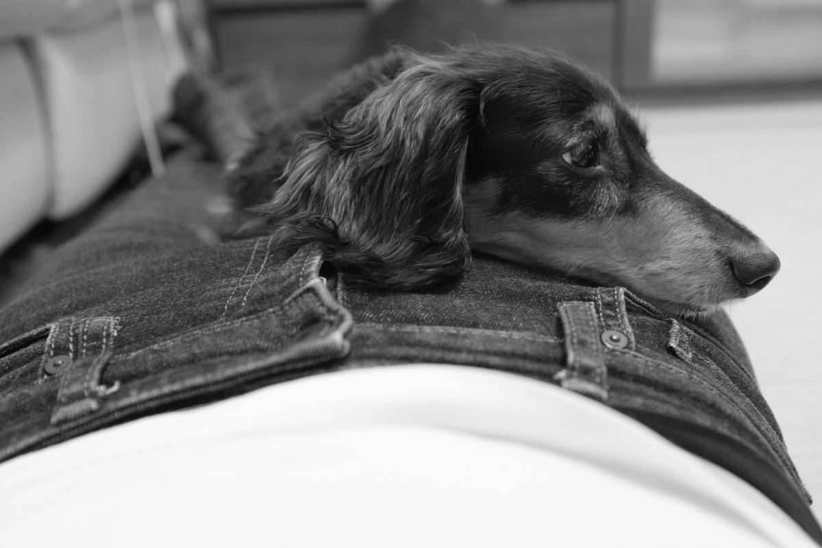 Relax | GANREF