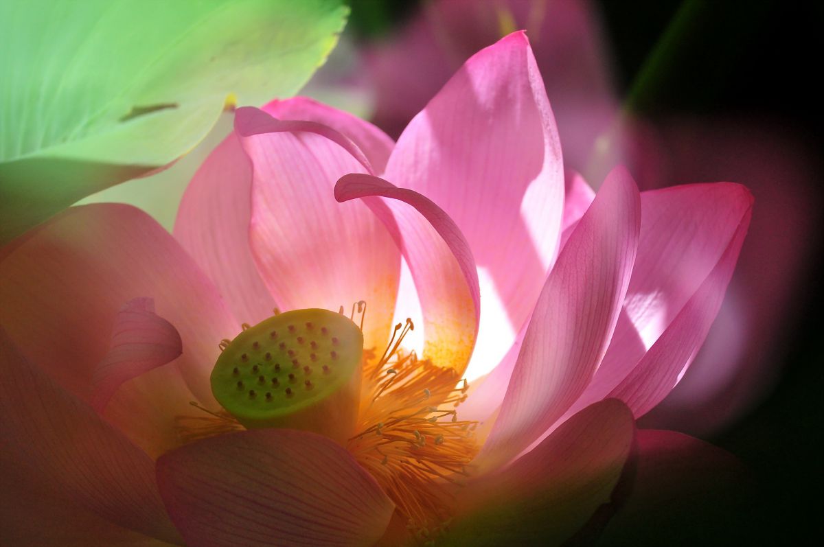 6813d2ef1fe59064c0d9c5261bfb06