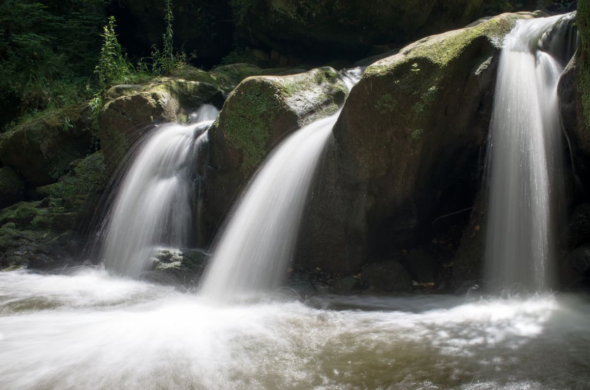 MullertHal Trail | GANREF