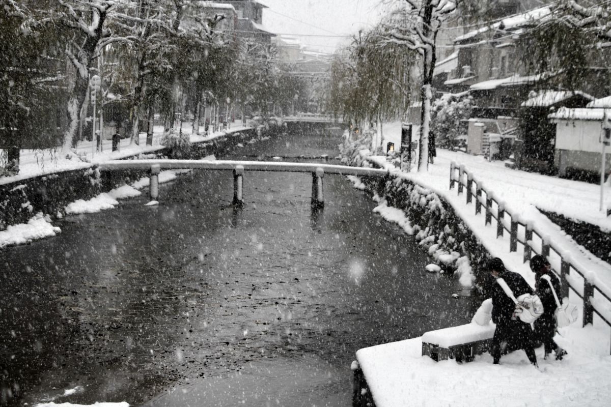 ff1aaba578eb2cf8d4487fee9bb2f1