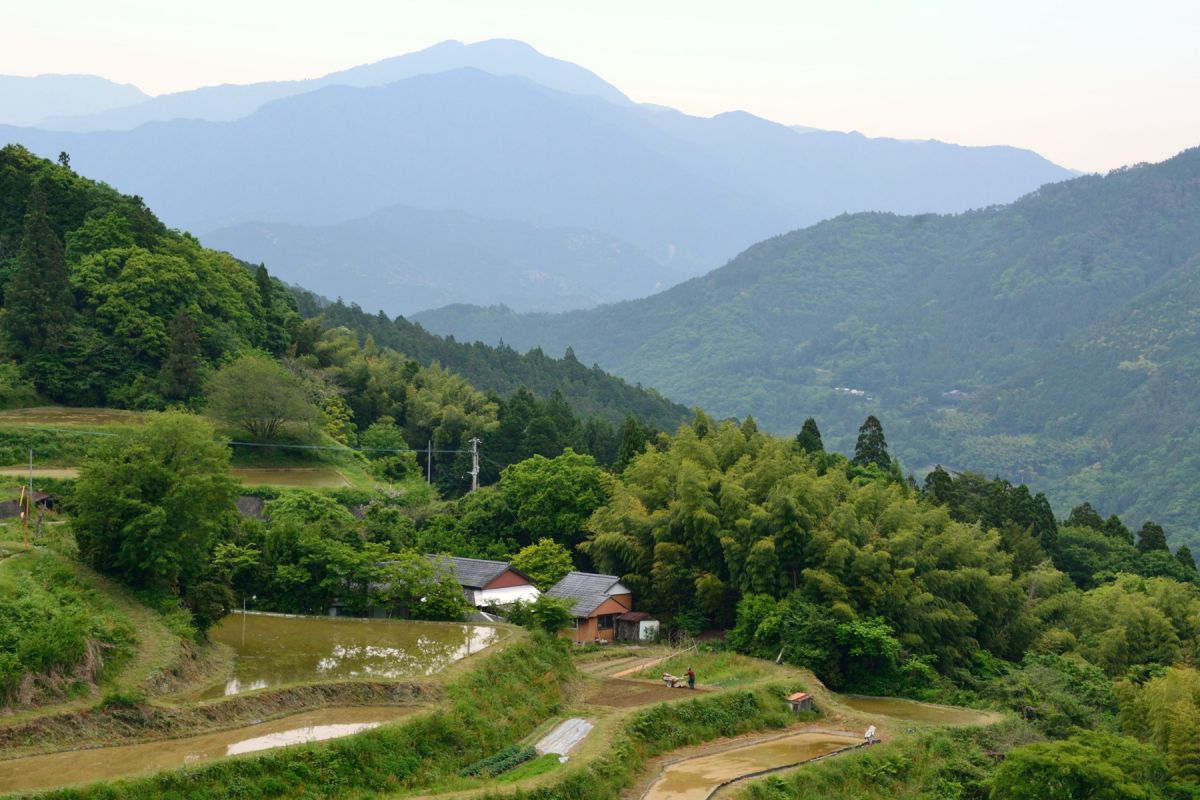 No.3【紀美野の水田里風景】 里山の風景 | GANREF