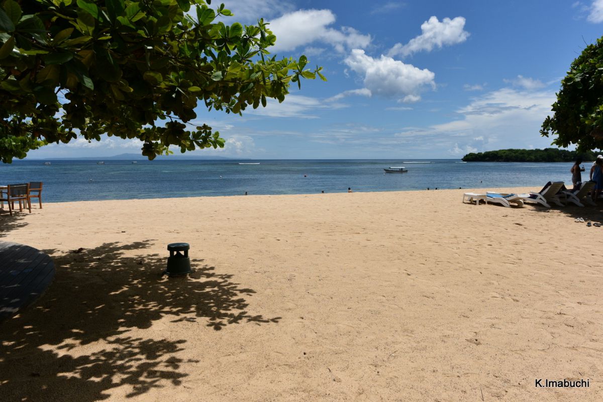 Beach | GANREF