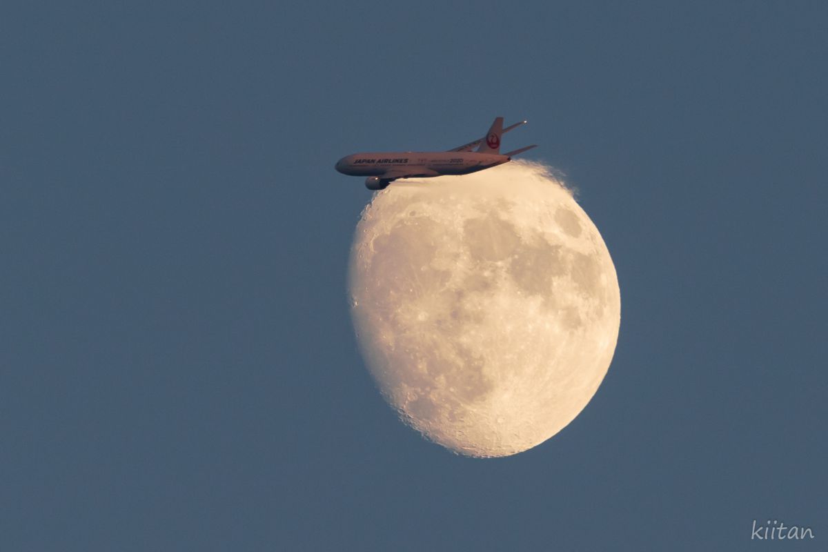 landing the moon | GANREF