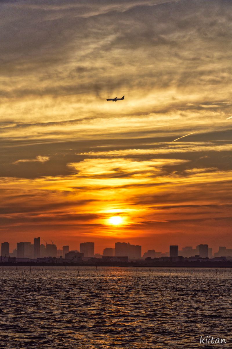 in the sunset | GANREF
