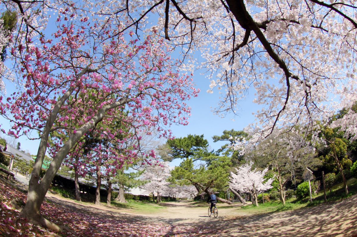 Spring | GANREF
