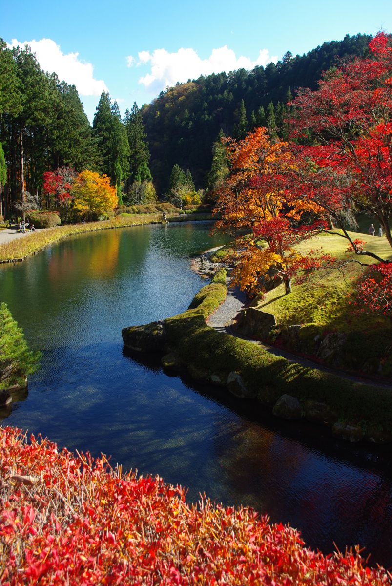 Autumn flow | GANREF