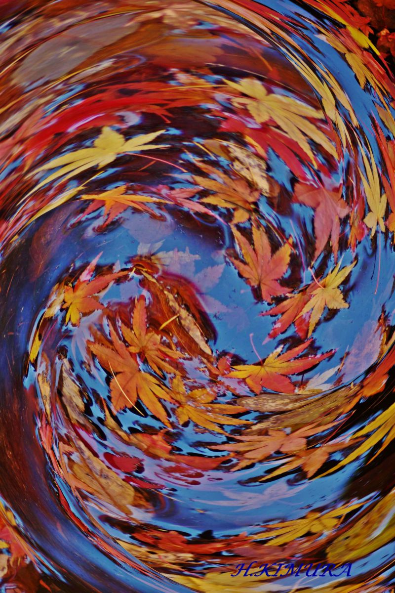 Colored leaves flow | GANREF