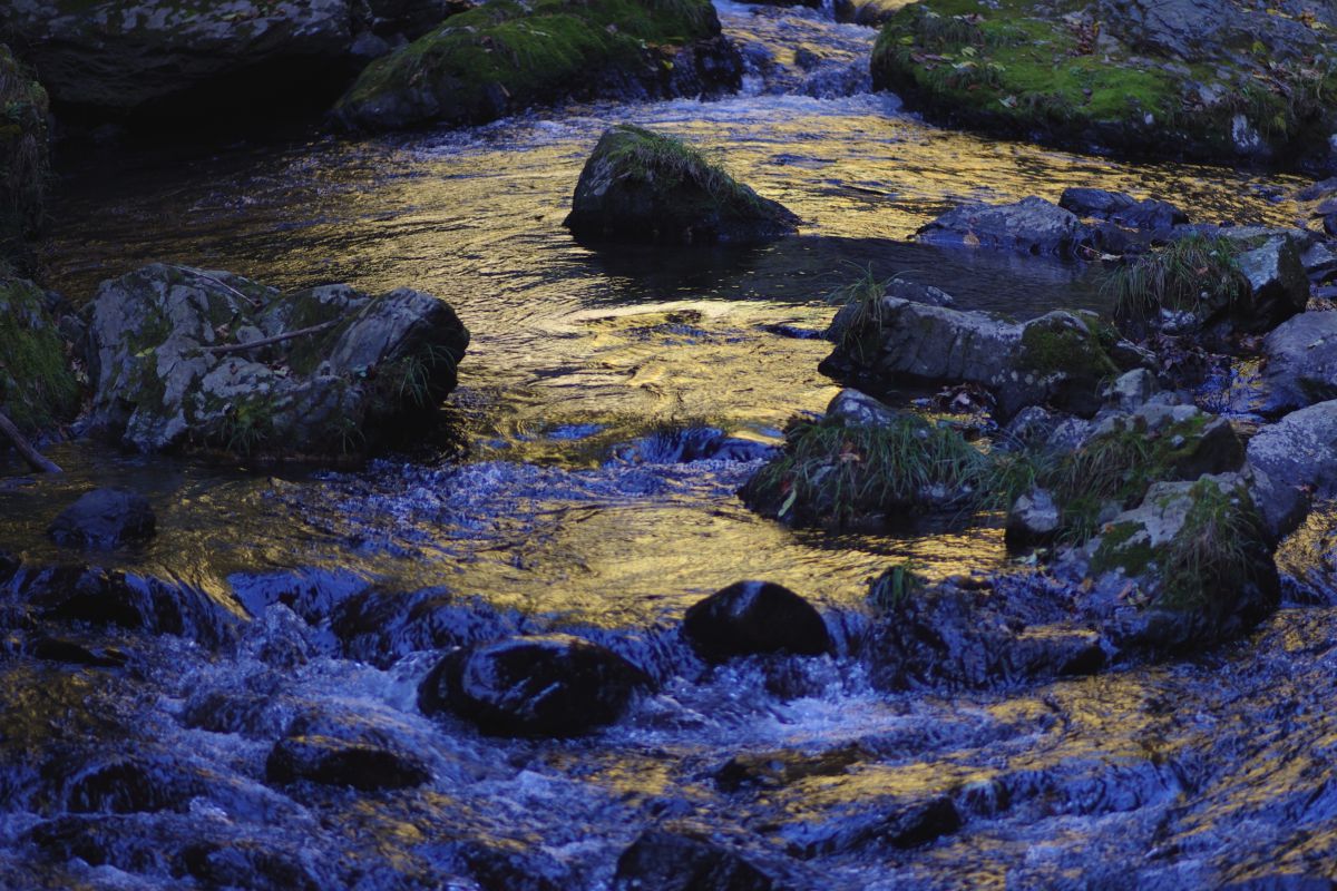 Surface of a river | GANREF