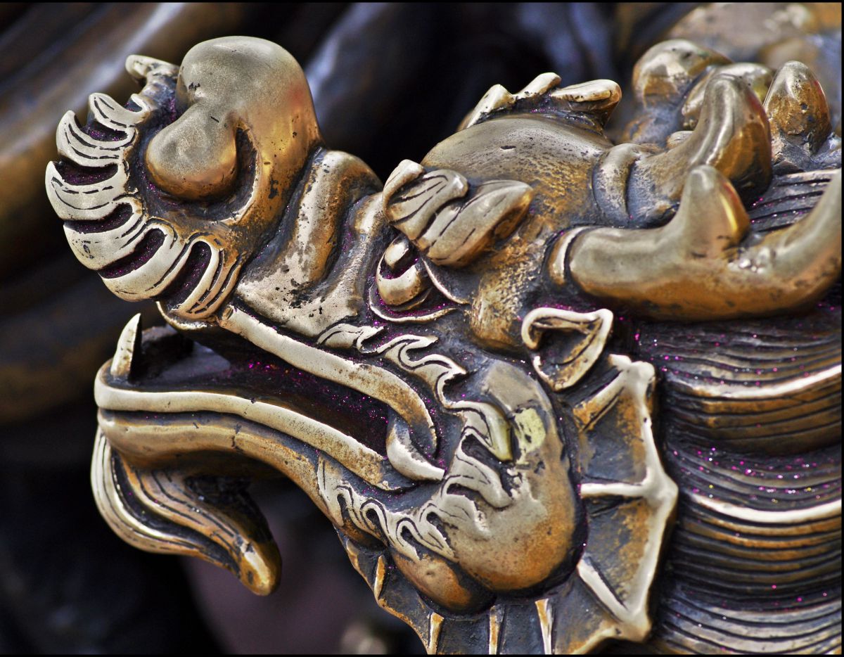 Face of the dragon | GANREF