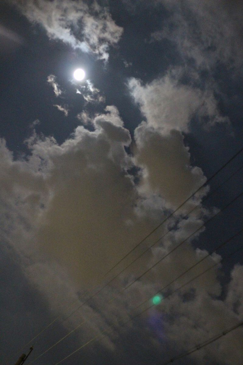 sky | GANREF