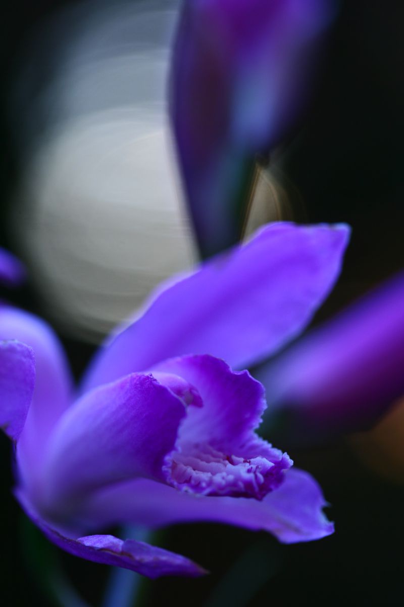 Blue | GANREF