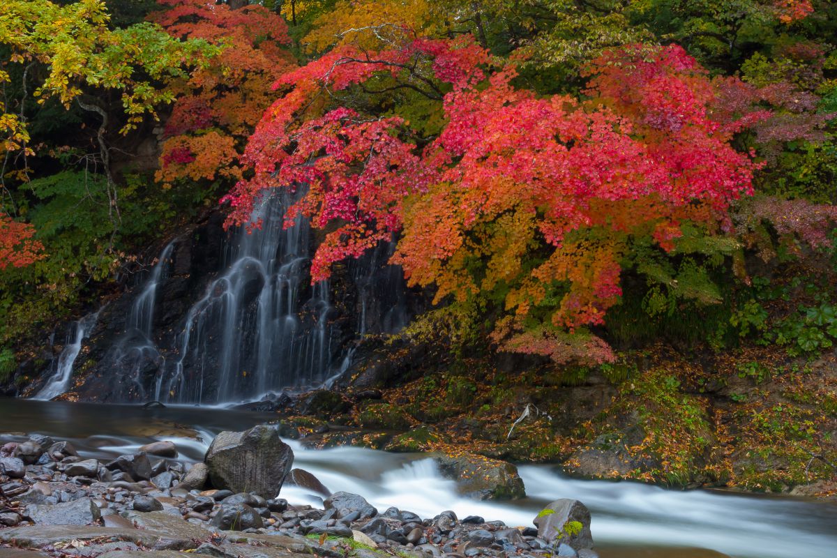 中野もみじ山（黒石市）の不動の滝と紅葉 | GANREF
