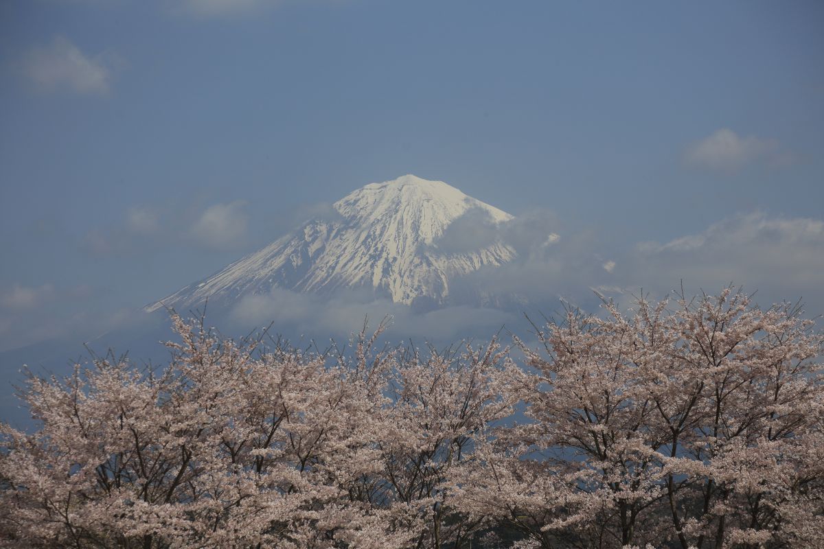 春霞の中で、 | GANREF