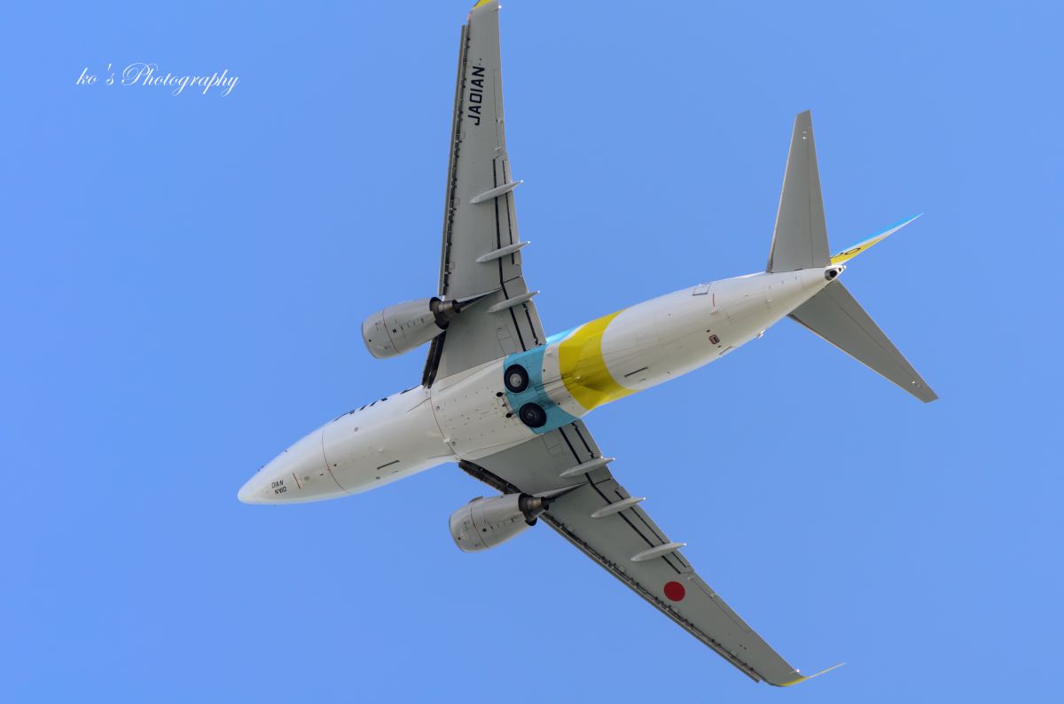 その他 AIR DO Boeing737-700 Air Do Boeing 737-700 | IPMS/USA Reviews