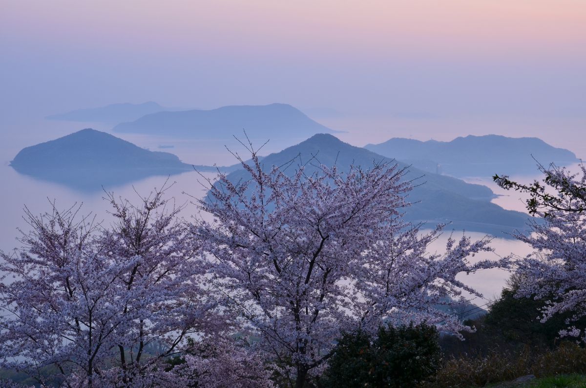 SALE! 原画　『春霞　桜薫』 春霞の瀬戸内海 | GANREF