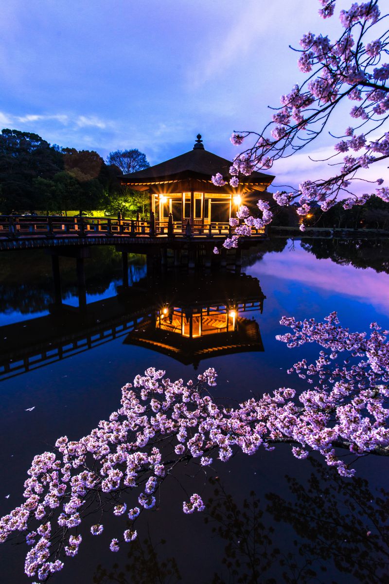桜浮見堂 | GANREF