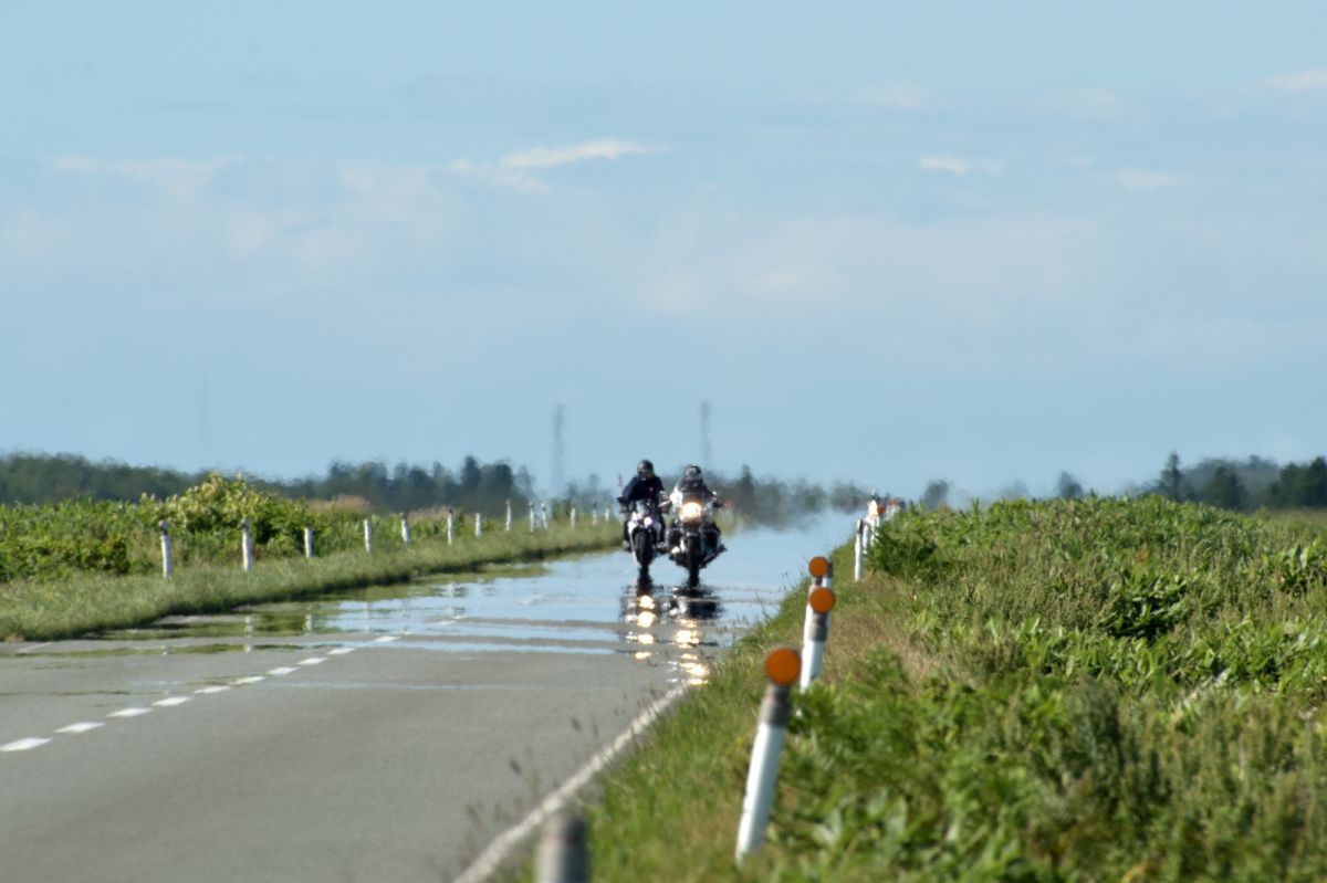 逃げ水 逃げ水 その2 | GANREF