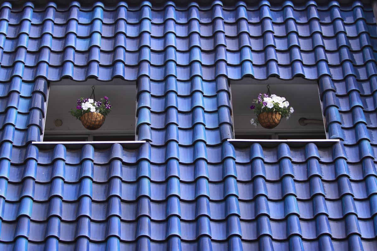 美・KAWARAYANE Ⅱ GANREF