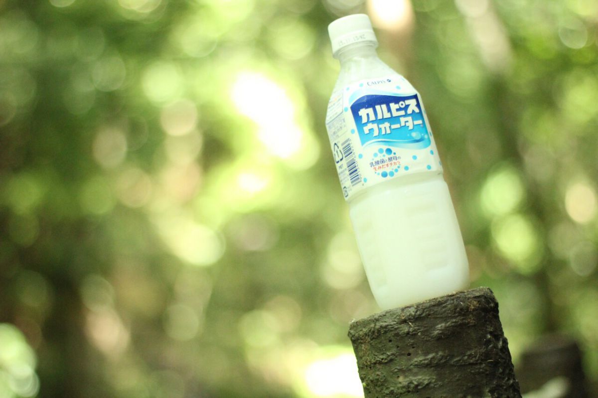 カラダにピース GANREF