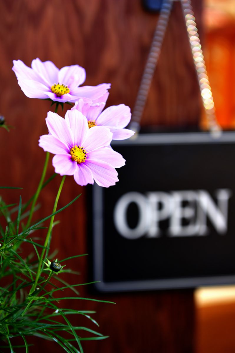 OPEN | GANREF