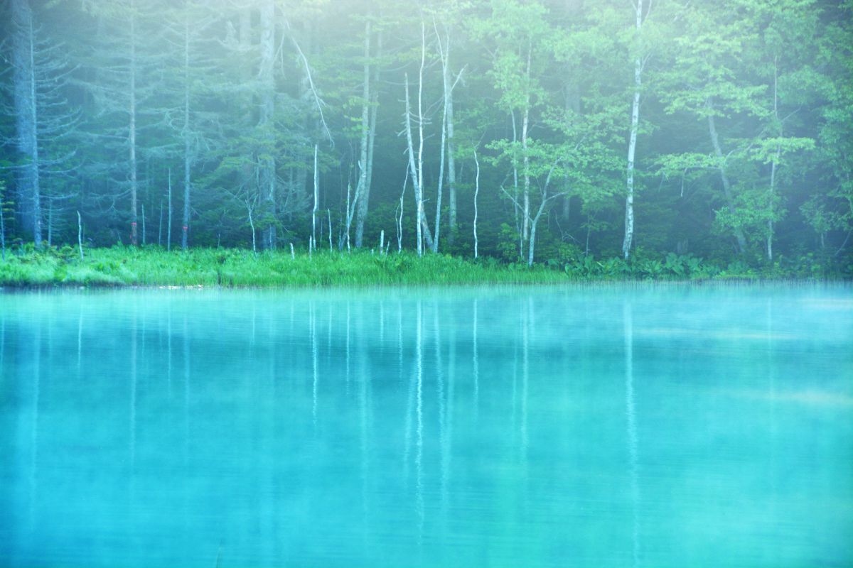 妖精の湖 | GANREF
