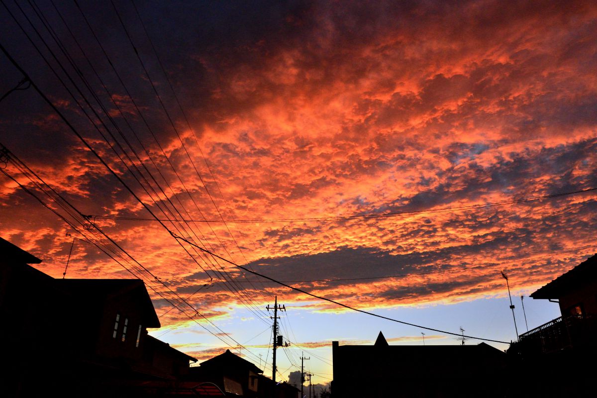 bba95c5d1d38eda042f5f1d4a7db9c