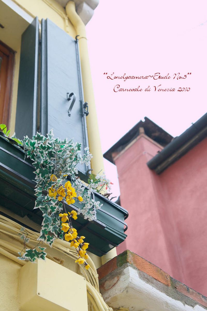 花のある窓 | GANREF