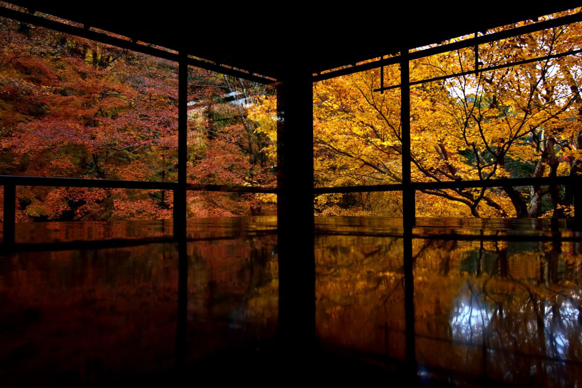 reflection | GANREF