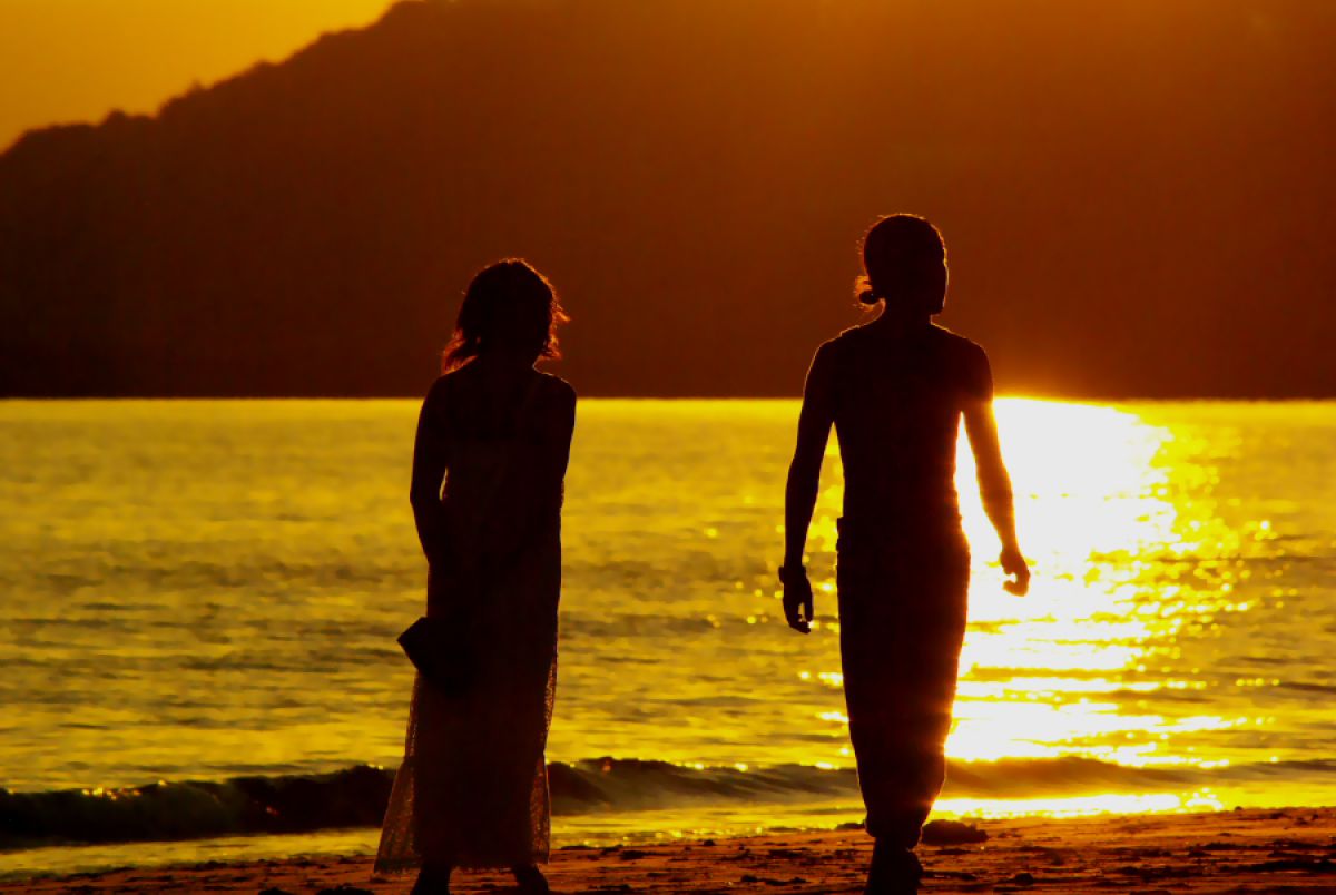 夕日に向う | GANREF