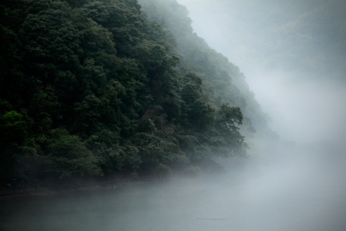 霧雨 | GANREF