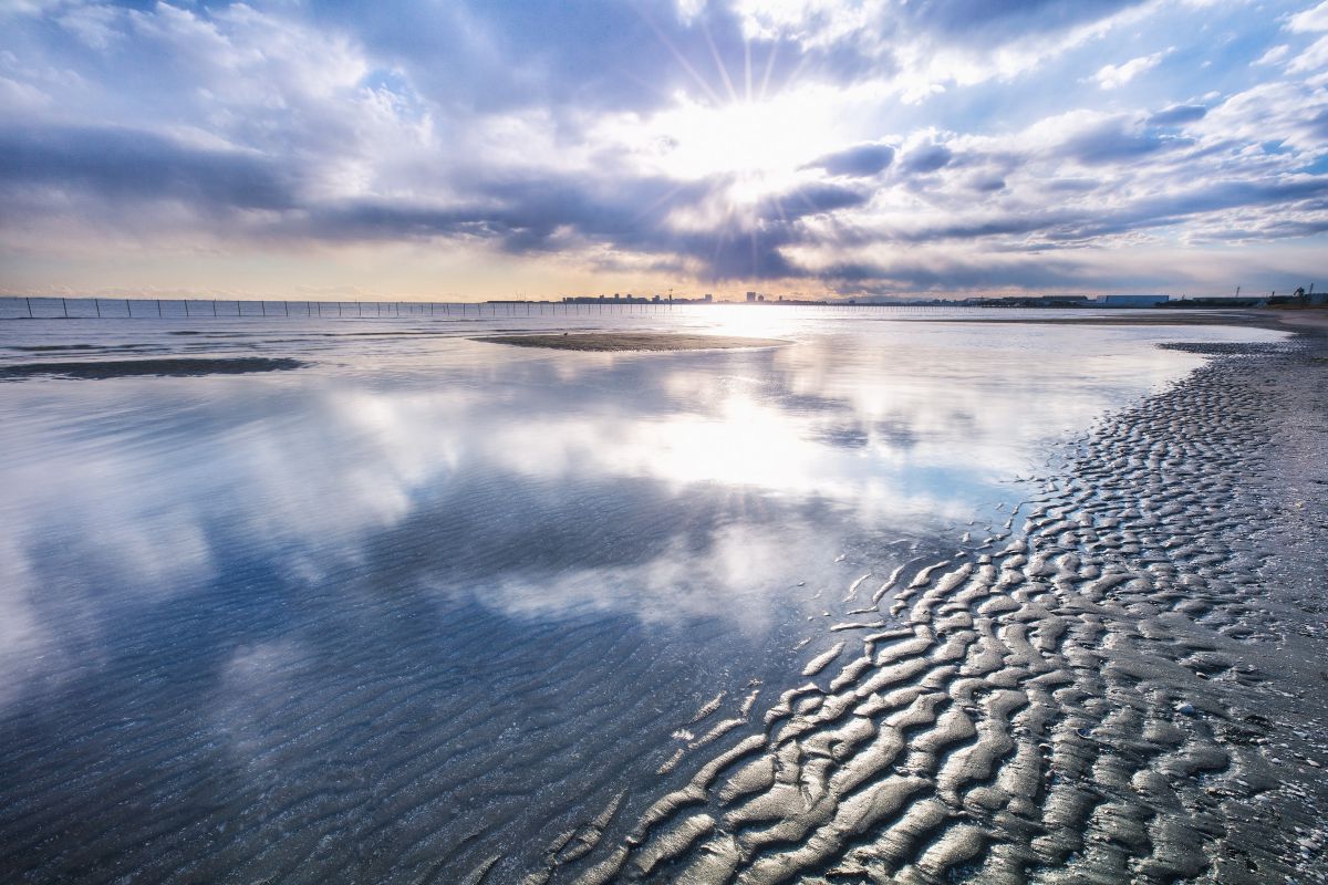 Reflection | GANREF