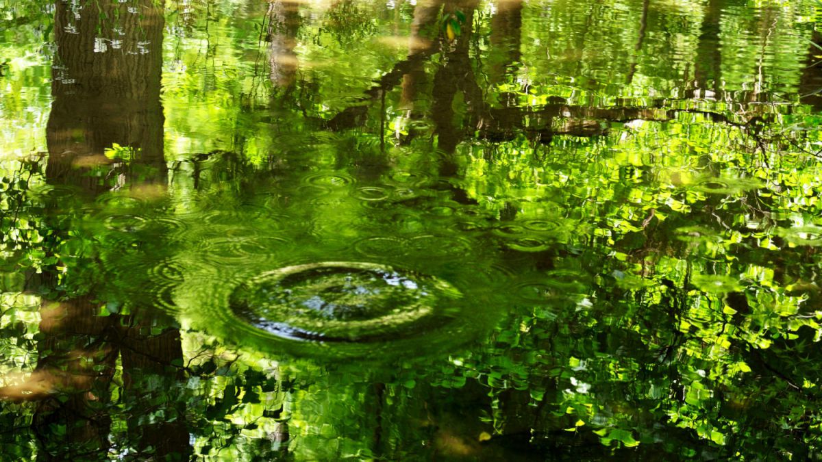 Green Circle | GANREF