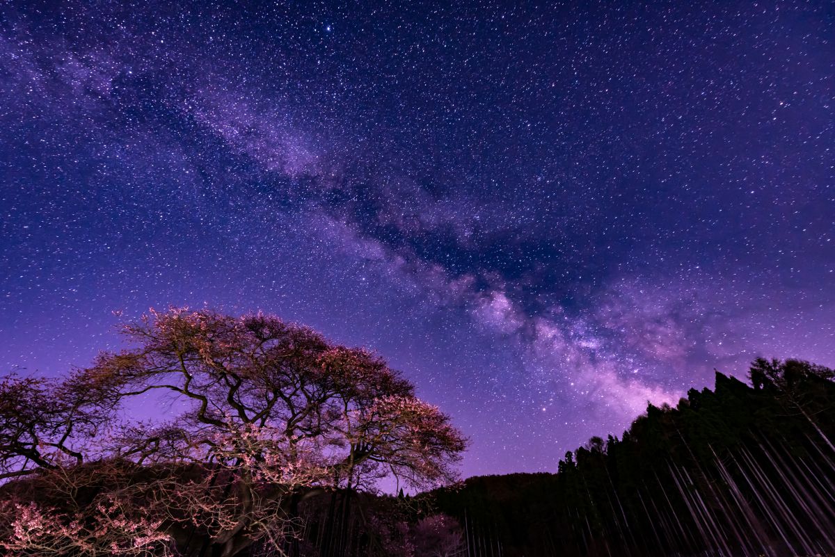 starry sky of Shinano | GANREF