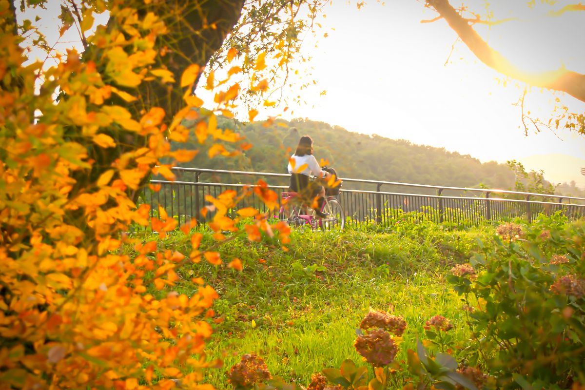 Sunset yellow. | GANREF