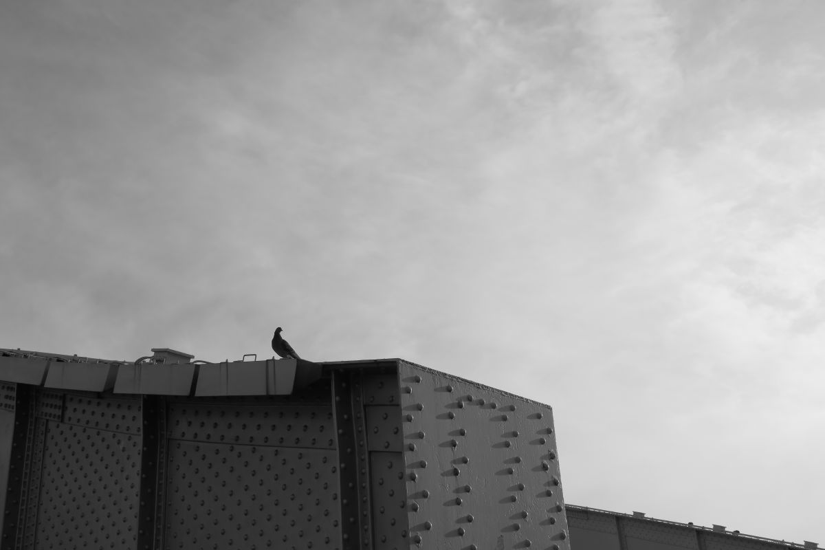Break | GANREF