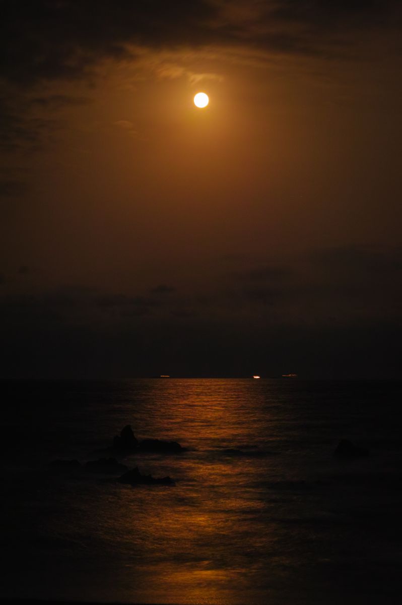 月夜の海 Ganref