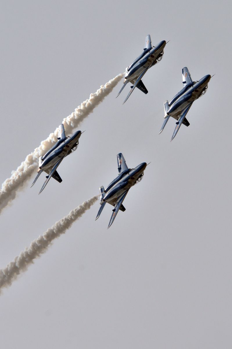 Goodbye Blue Impulse | GANREF