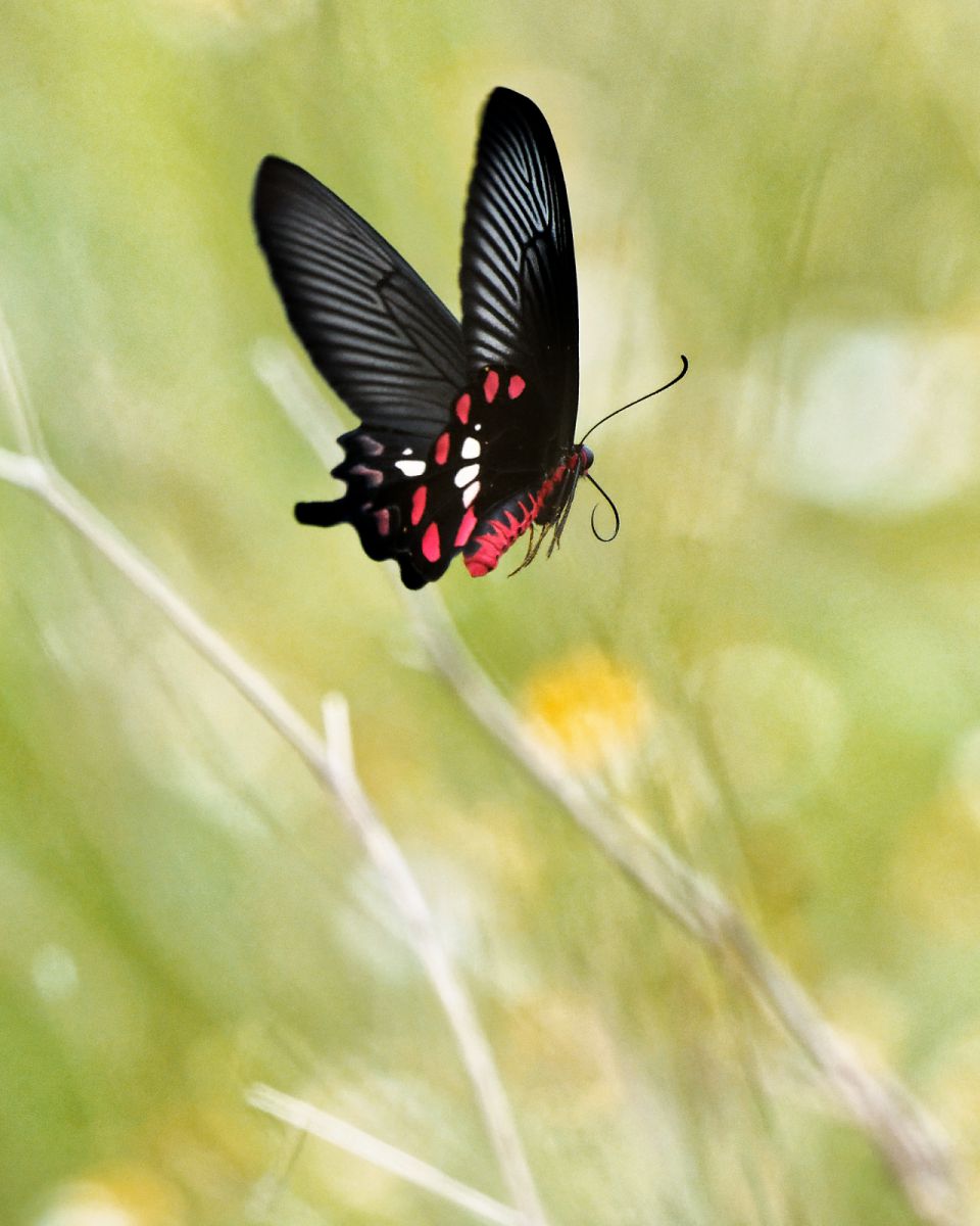 75ce3b6225afaed8a3627c1aaafad3