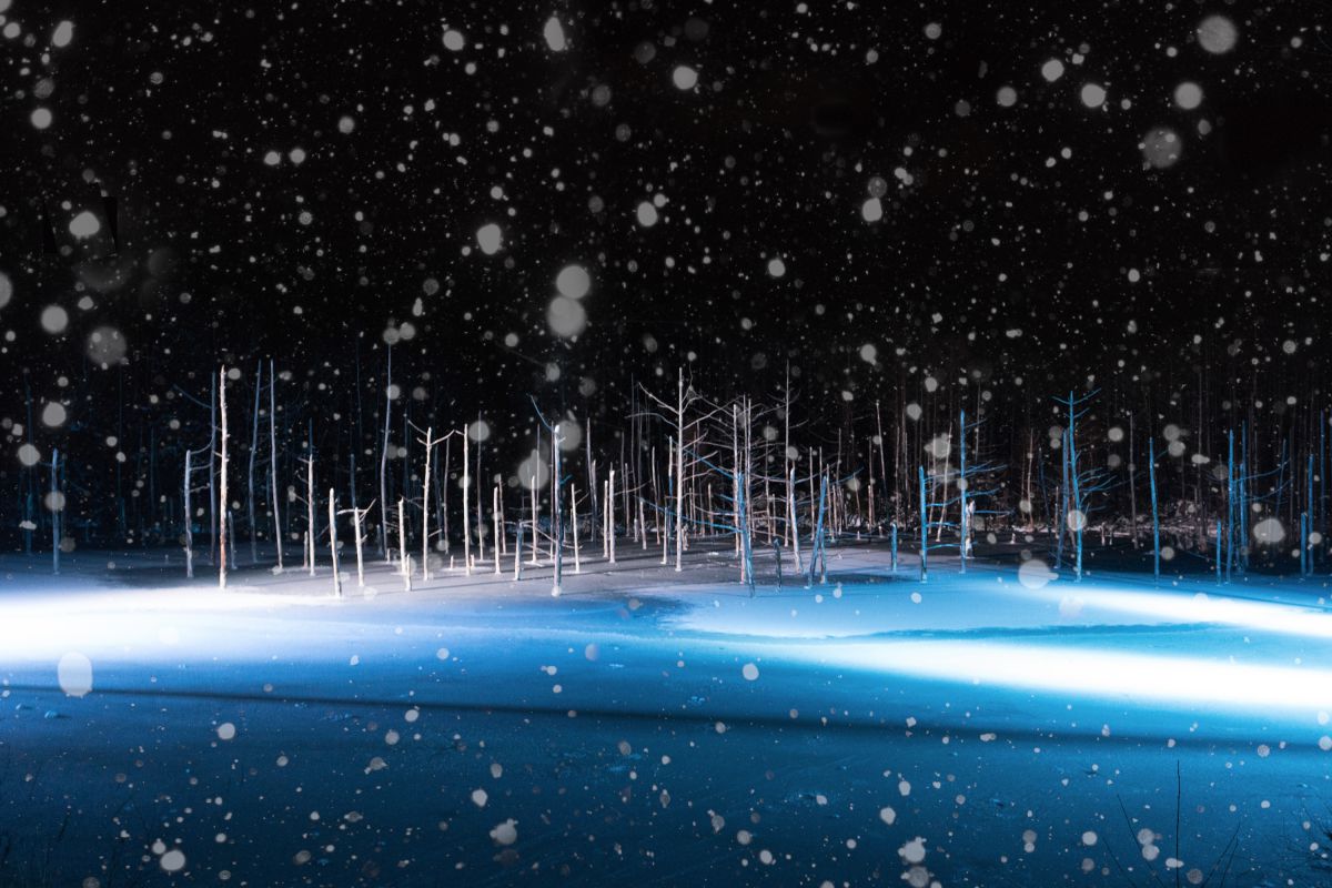 color in winter | GANREF