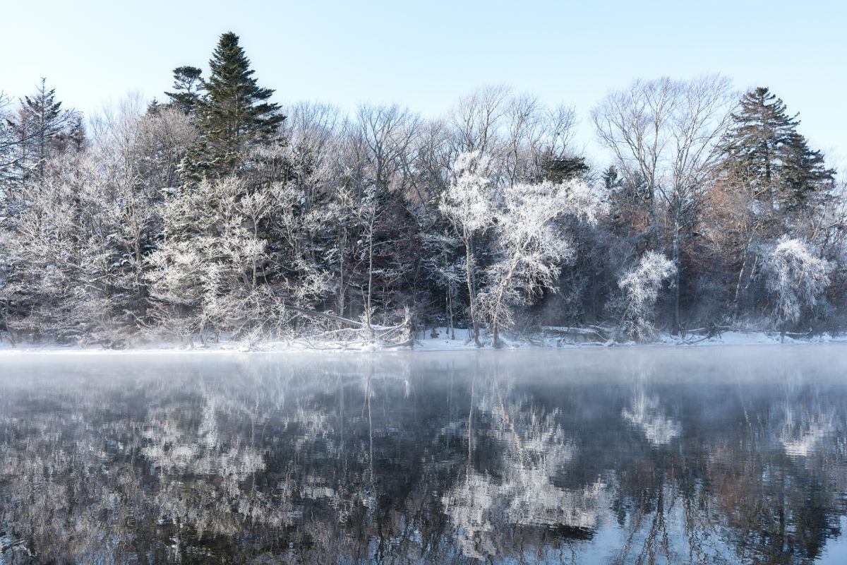 color in winter | GANREF