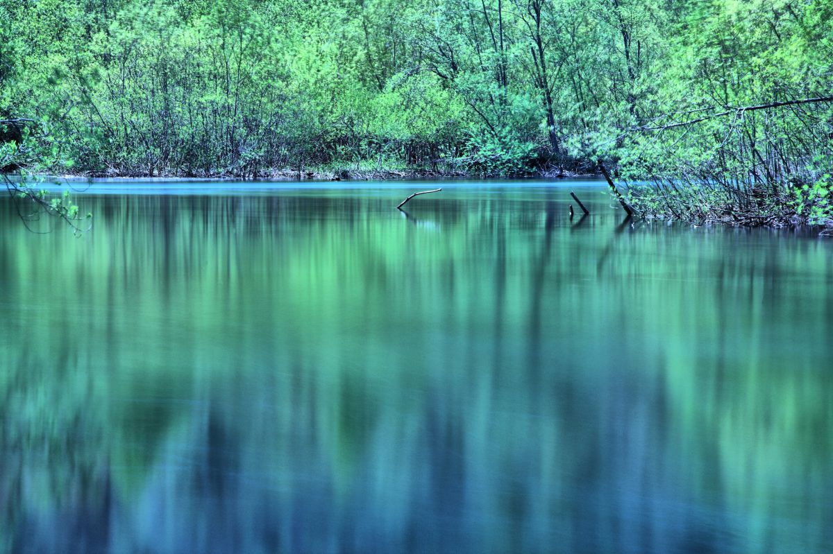 Blue & Green | GANREF