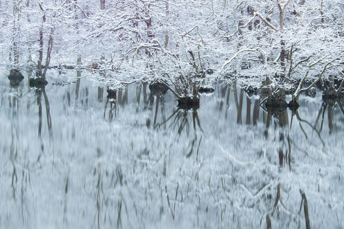 Reflection | GANREF