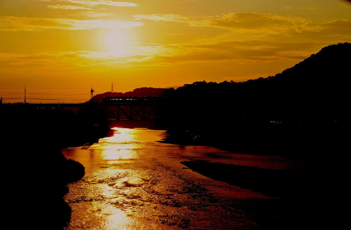 44a3a45cab5dbe8cd753fd5feb6f75